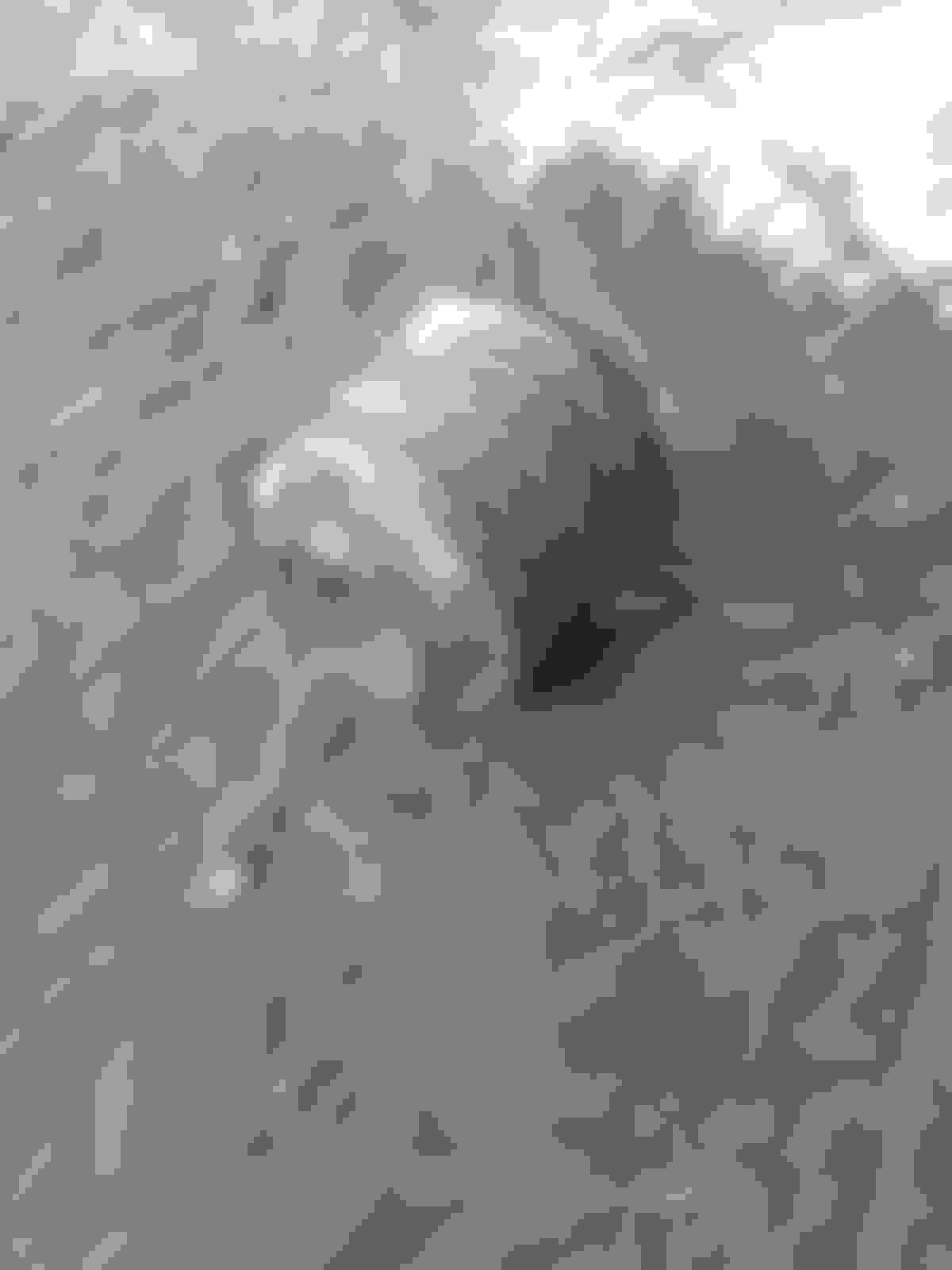 460 Exhaust Manifold Special Bolts Ford Truck Enthusiasts Forums