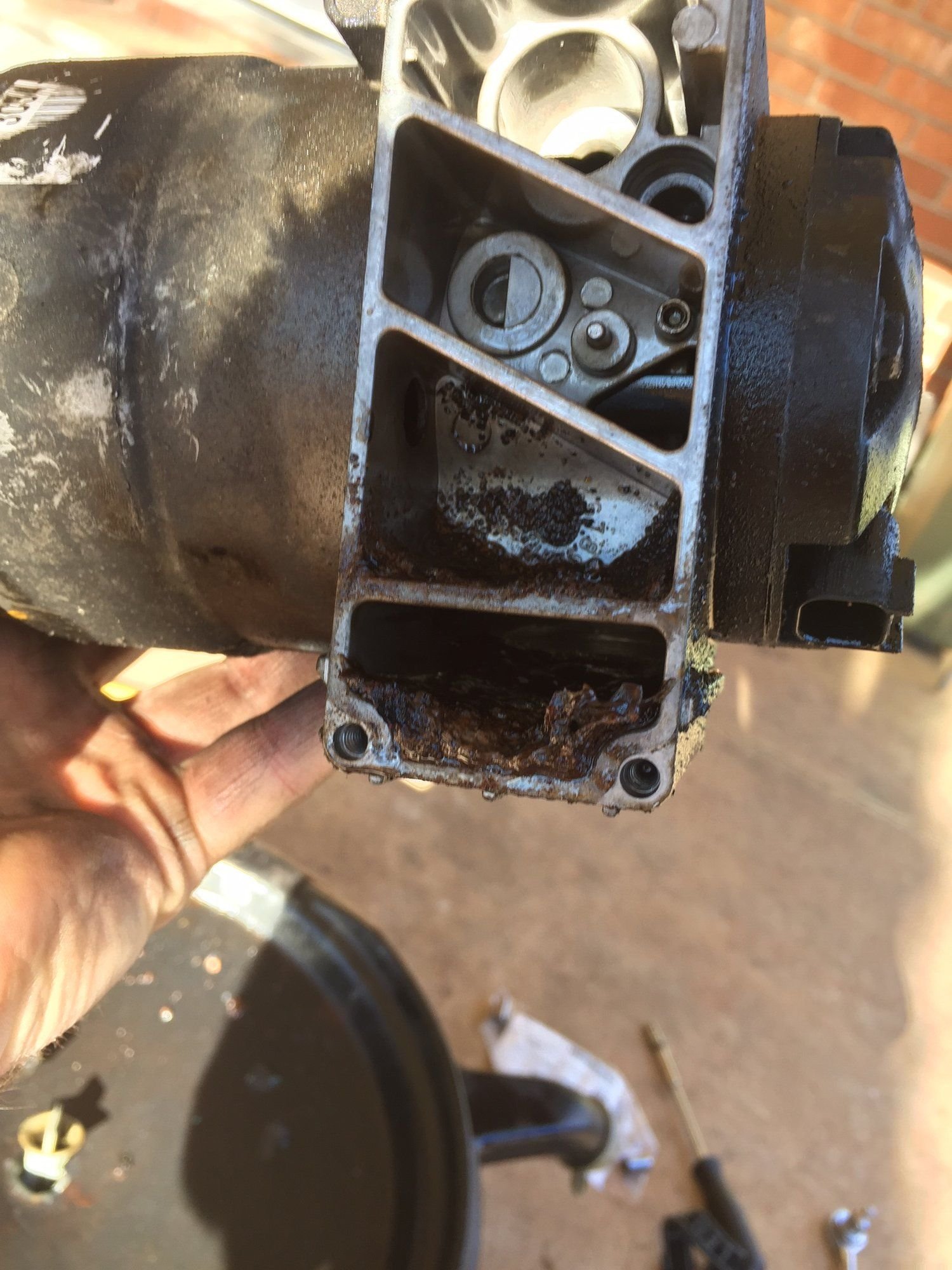 HFCM drain plug upgrade Ford Truck Enthusiasts Forums