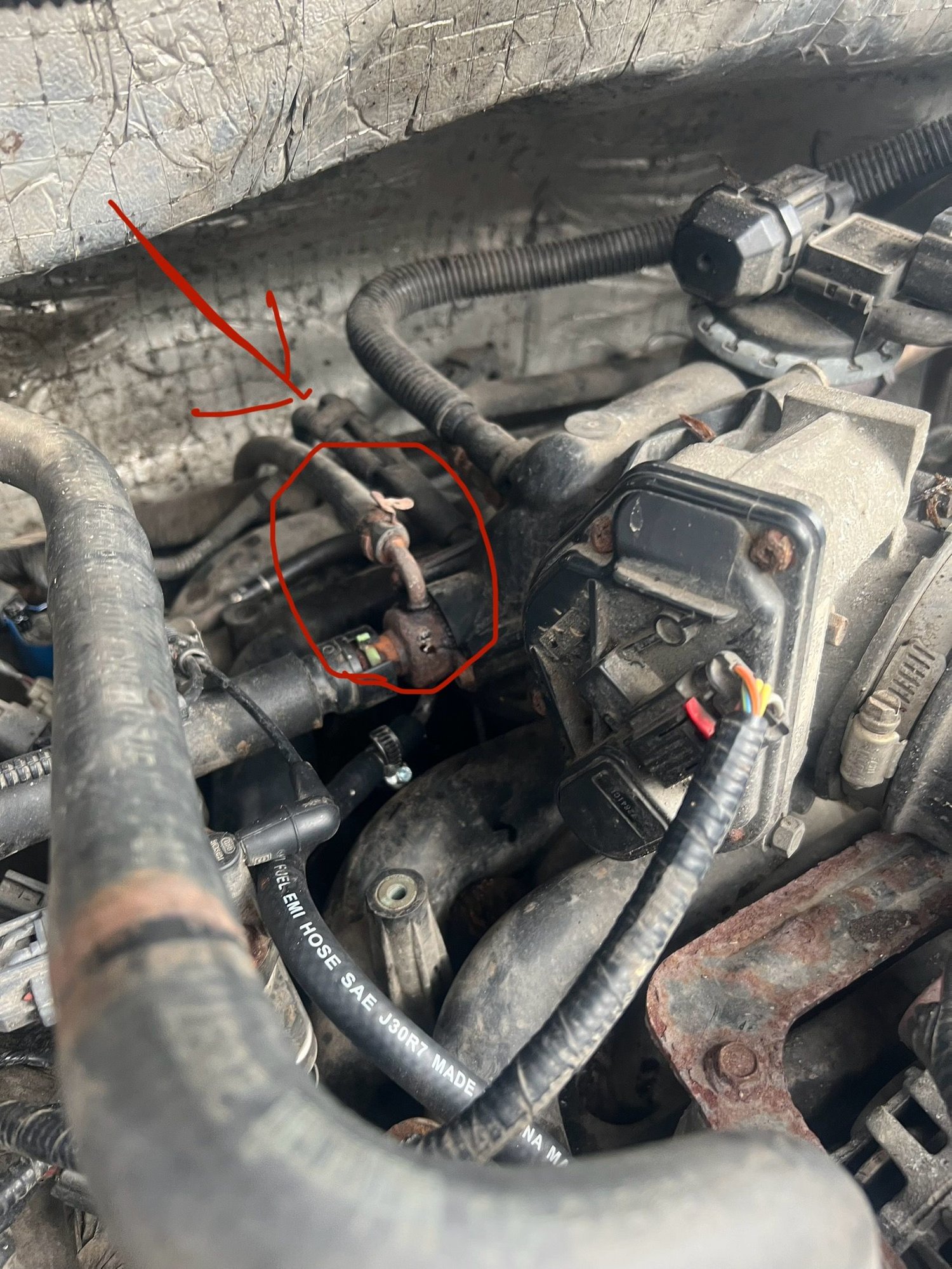 Anybody know what circled part is called?