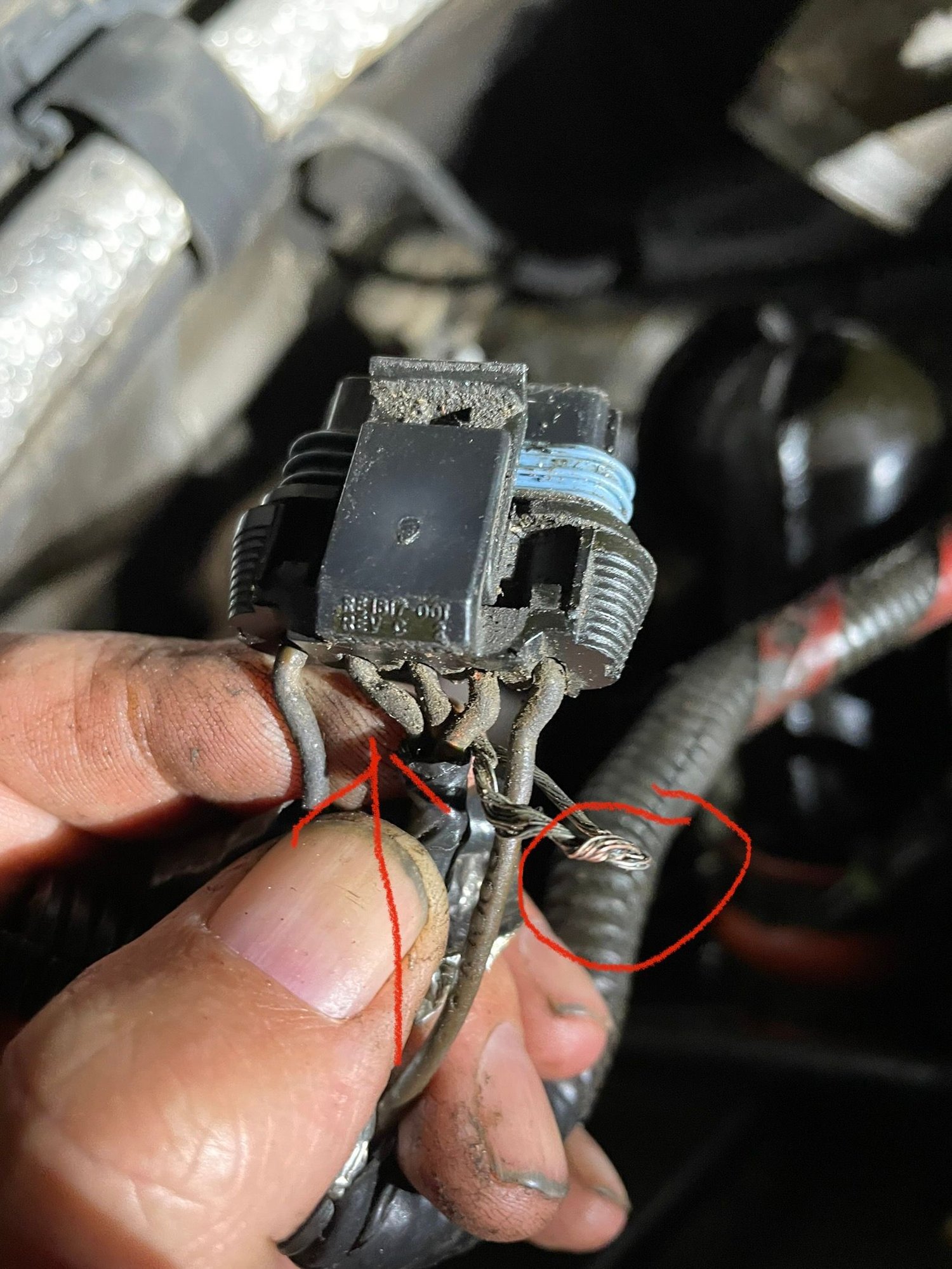 7.3 electrical gremlins - Ford Truck Enthusiasts Forums