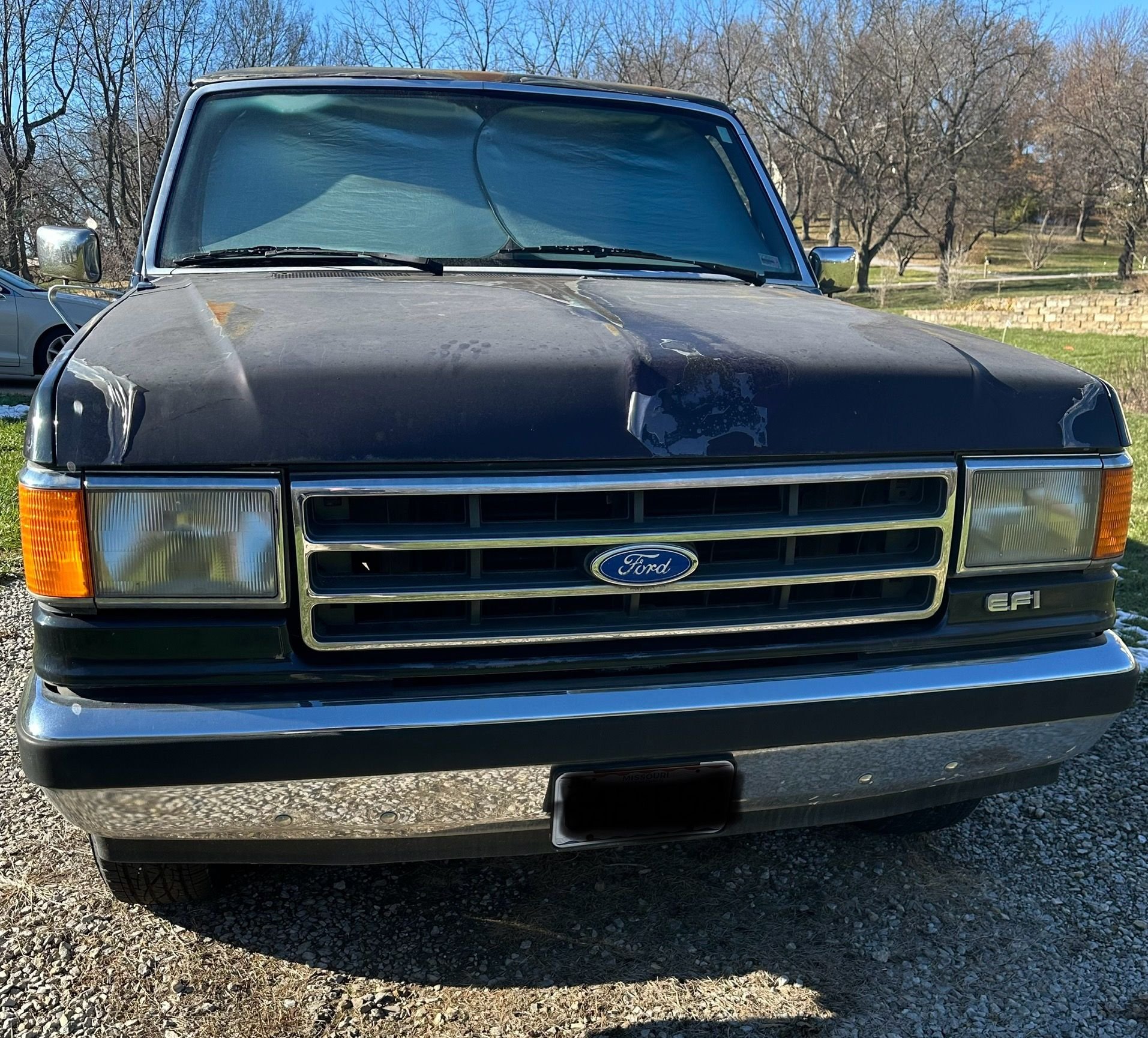 1990 Ford F-150 - 1990 F150 XLT Lariat been in the family since new - Used - VIN TBD TBD TBD TBD - 61,192 Miles - 8 cyl - 2WD - Automatic - Truck - Blue - Independence, MO 64057, United States