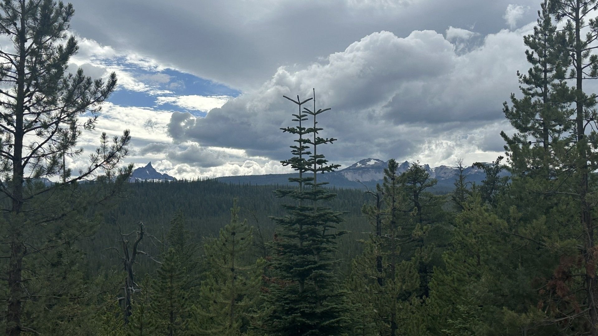 East Face Mt. Thielsen, Howlock Mountain and Sawtooth Ridge, an eroded part of Howlock Mtn.