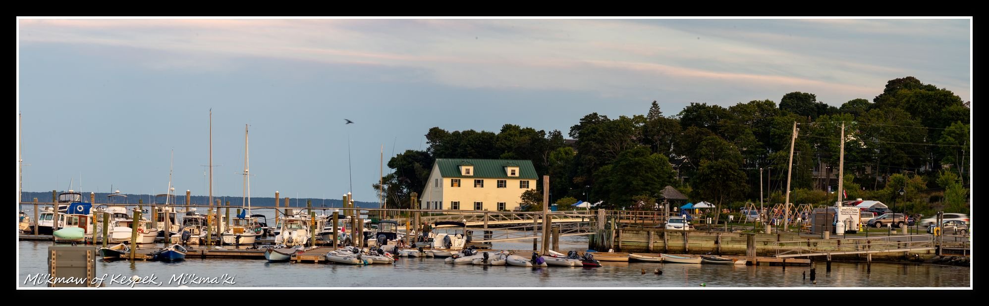 Tamron 200mm F3.5 BBAR Multi C Close Focus Adaptall-2 - 1979 Vintage lens - Panorama right side.