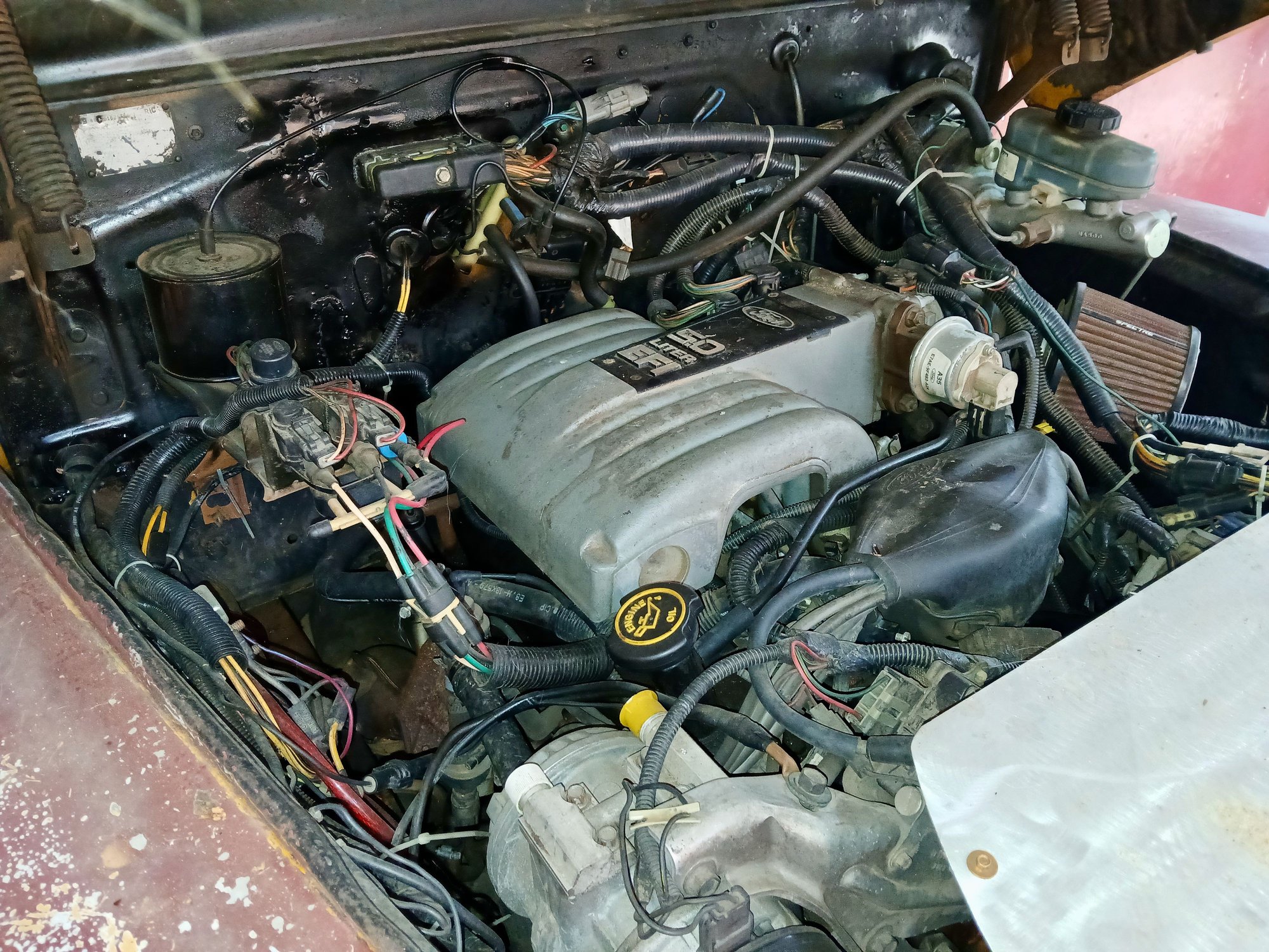 Ford 5.0 EFI (in my truck)