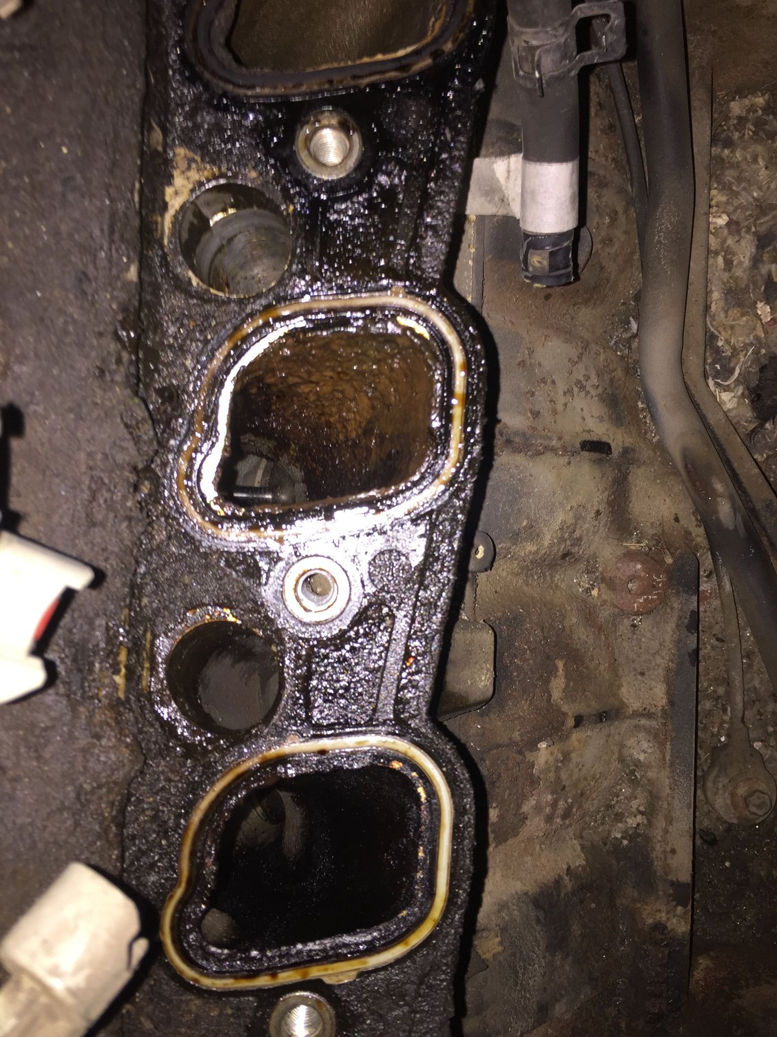 ford 4 6 intake manifold on Intake Manifold Gasket Or Head Gasket 5 4 Ford Truck Enthusiasts Forums