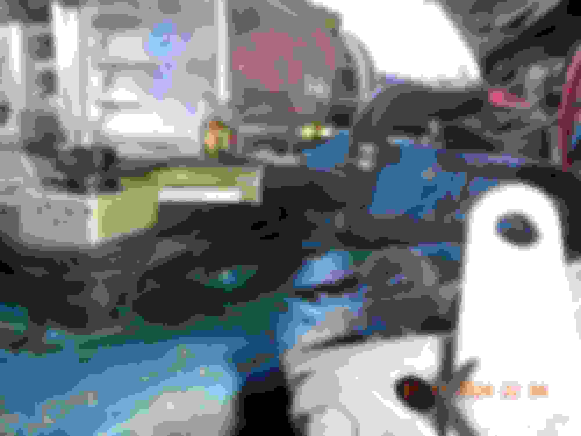 Holly Carburetor Leaking but from where? - Ford Truck Enthusiasts Forums