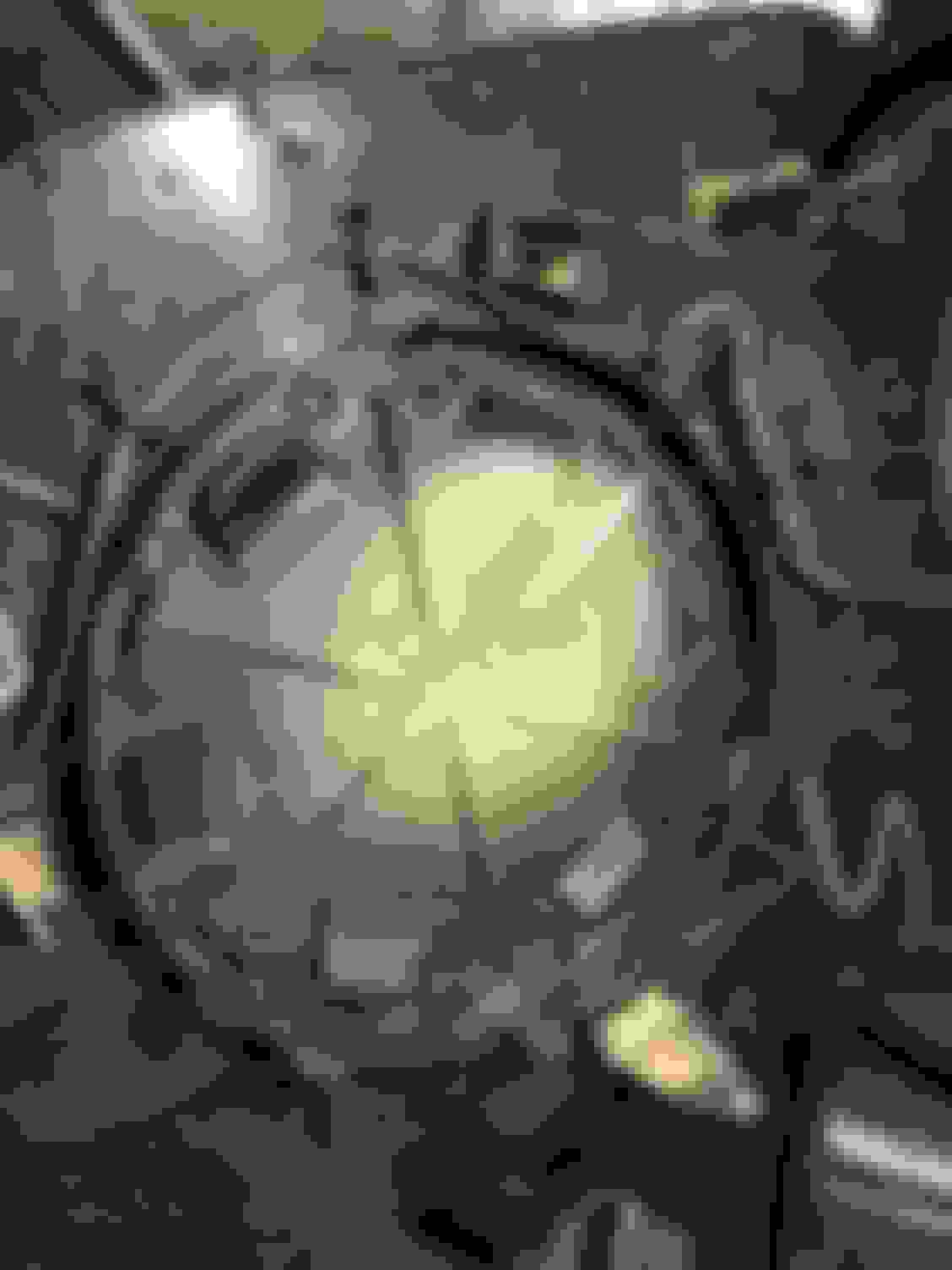 Any way to refurbish a mirror? Ford Truck Enthusiasts Forums