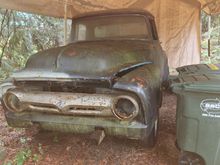 1956 F100  Album 2024-12-15 08:06:12