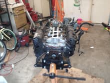1988 351w to be rebuilt and installed!