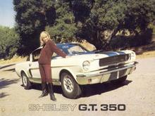 1966 Mustang Shelby GT-350 Brochure.