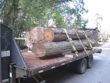15500 lbs sinker cypress