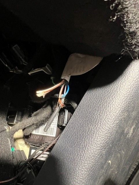 Tetrapod Zoology visual data 6