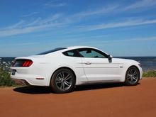 IMG 3707 web