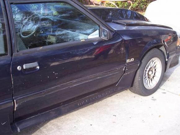 Blue Mustang 012
