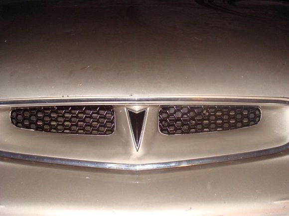 blacked out the grill and the Pontiac emblem