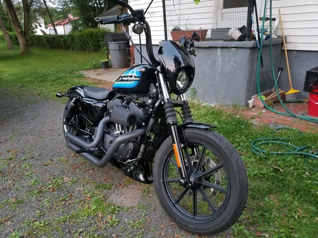Iron 1200 pics megathread - Page 3 - Harley Davidson Forums