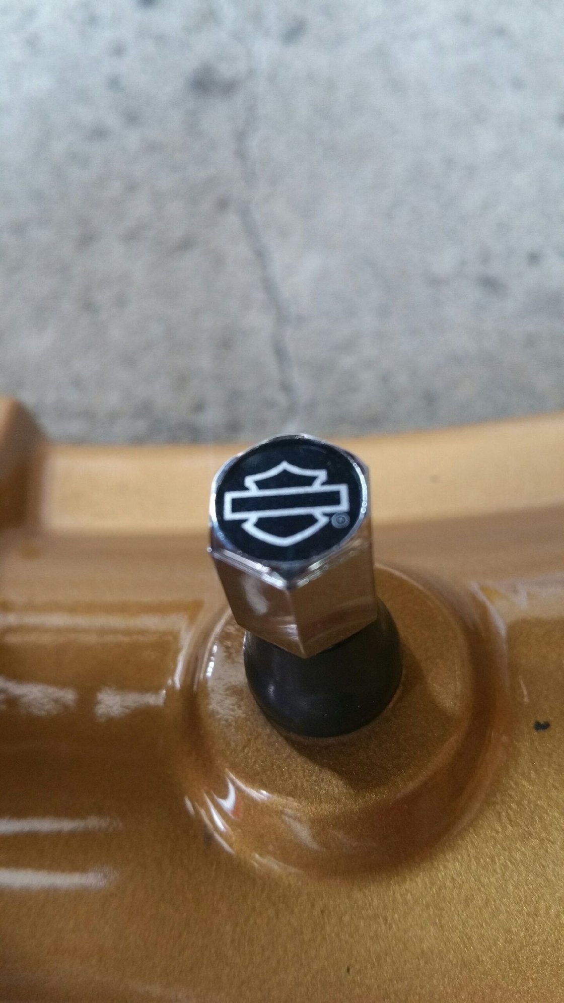 HarleyDavidson valve stem caps Harley Davidson Forums