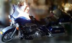 Garage - Electra Glide