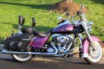 Garage - Road King Classic
