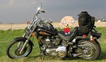 Harley_Dude