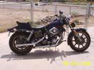 My 1981 FXB