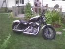 Nightster