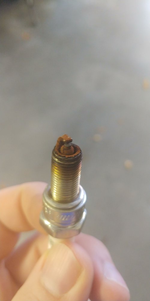 Rust colored build up on the spark plugs Harley Davidson Forums