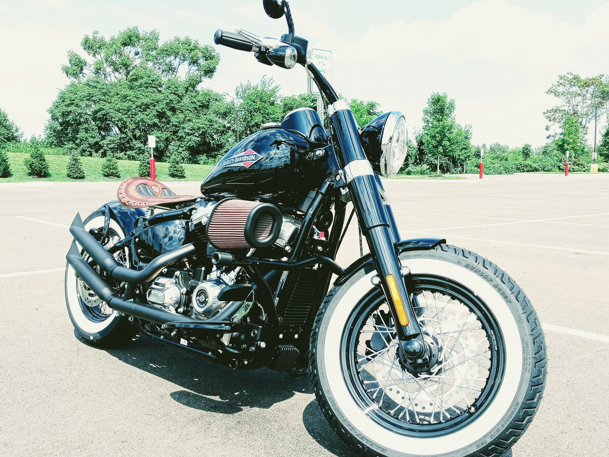 harley davidson slim 2020