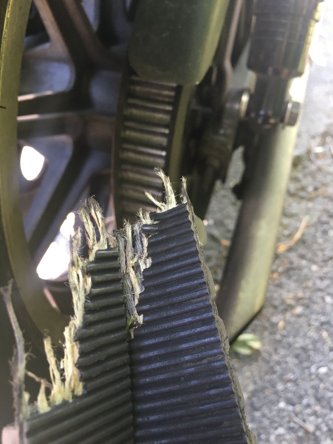 Chain vs Belt Sportster Harley Davidson Forums