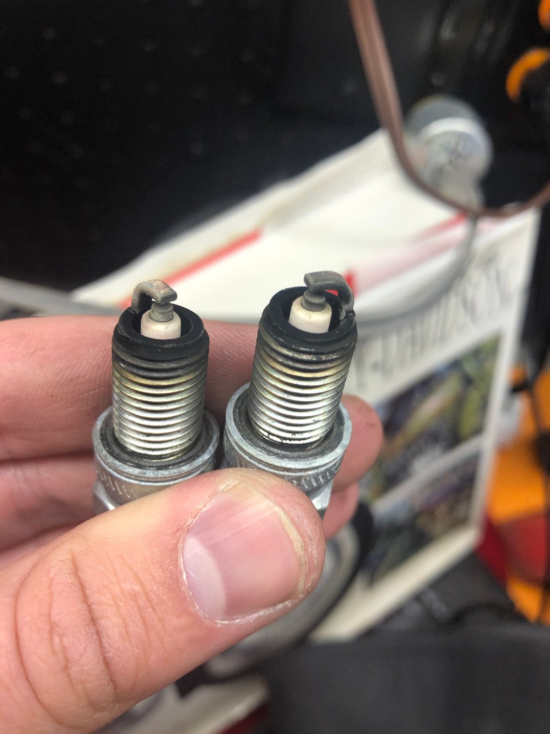 How do my spark plugs look? Harley Davidson Forums