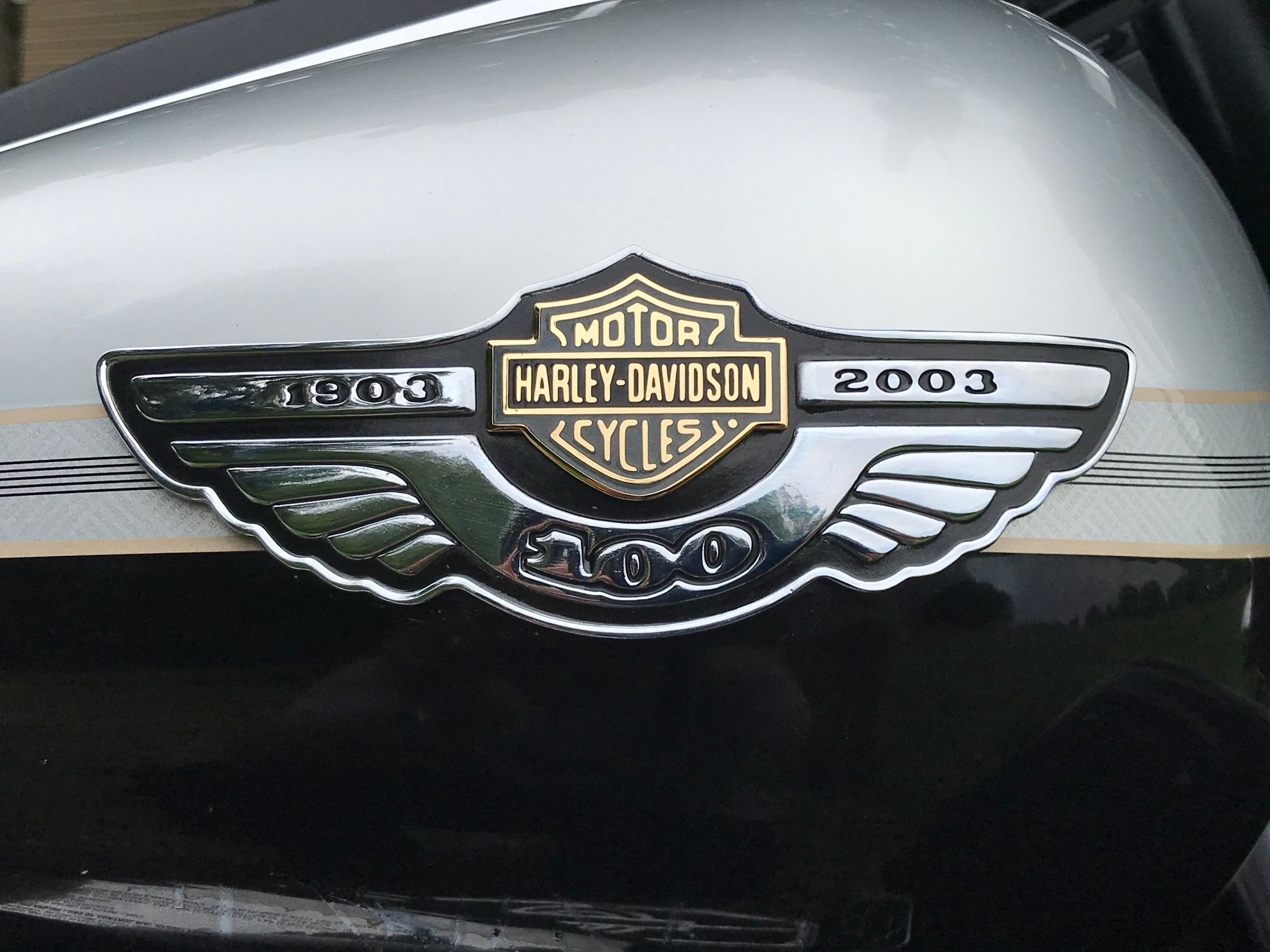 Pics posted and question - Harley Davidson Forums