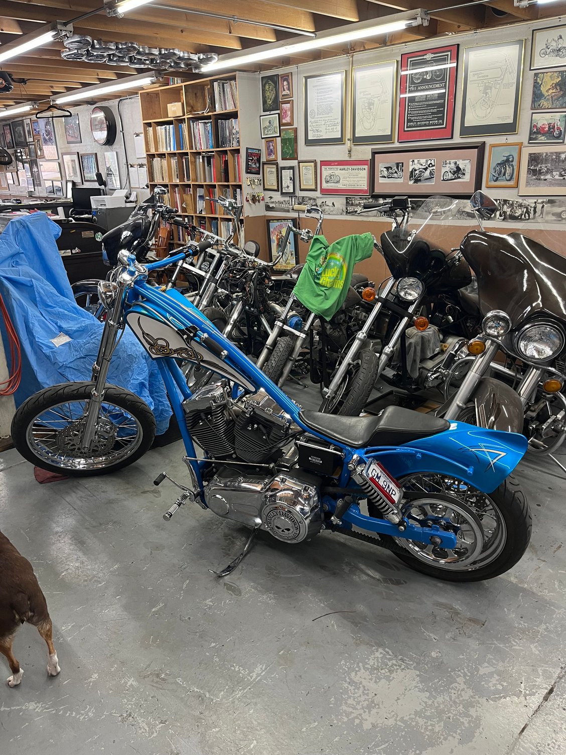 One of my indys builds. 2006 Wide Glide, 106 Stroker motor.