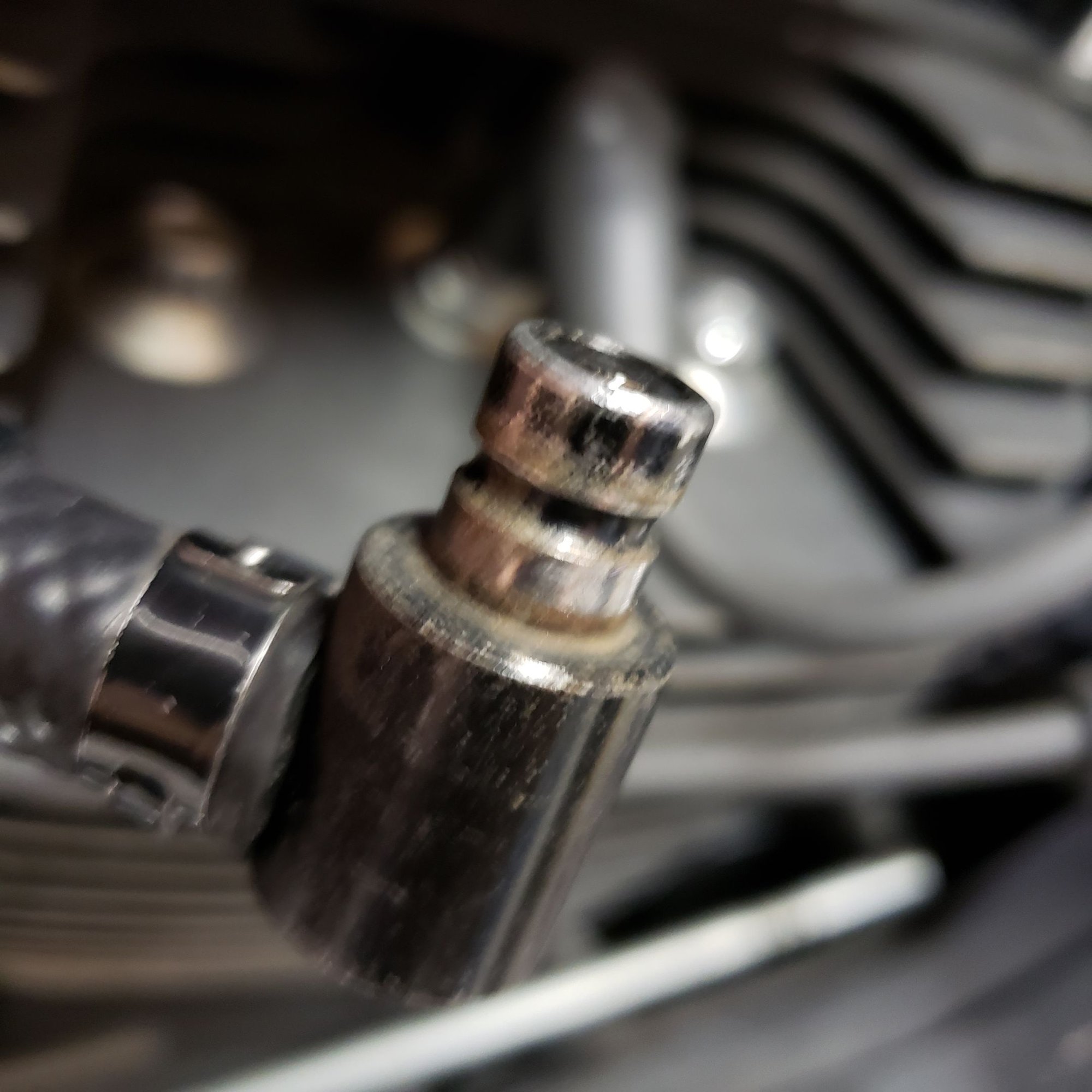 Fuel check valve leak when ignition turned on Harley Davidson Forums