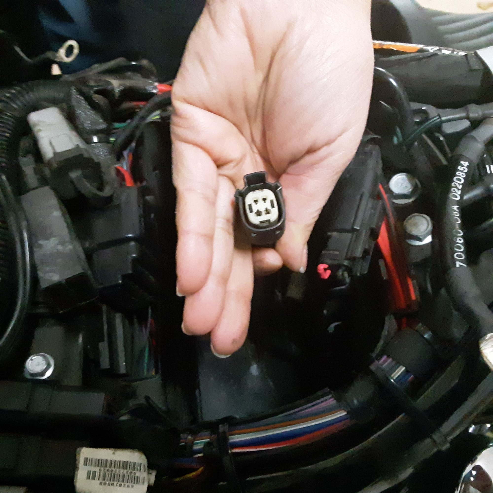 O2 sensor connection help? Harley Davidson Forums