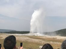 Old faithful