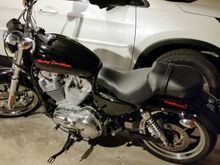 Wife's Harley Sportster 883