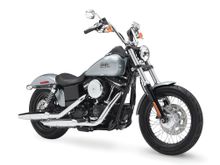 2015 FXDB Street Bob