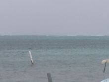 Waves crashing over the reef in the distance.