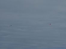 Kites. Hard to get good shots with a cell phone. These things were huge and really out there.