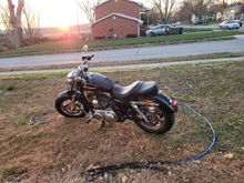 2011 Sportster XL1200C #1