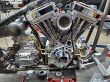 Springer Softail Build