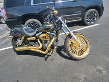 ALL GOLD DYNA WIDE GLIDE