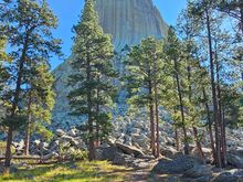 Devils tower