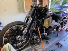 Springer is on ( Vulcan Rake stem fixed the HD De-Rake), Breakout Front Wheel, 5 Gallon FatBoy Tank, 2009 11” wide CVO Springer rear fender. Front Fender & Mounts will be here tomorrow 