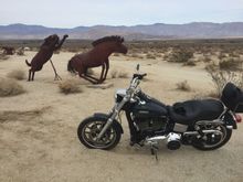 Borrego 