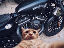 Selfie time