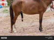 Prolly looks something along these lines.