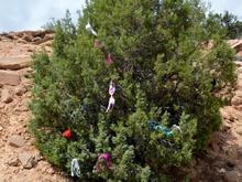 Don't know the story here but I had to get a picture.  I had actually stopped for a picture on the other side of the road and....