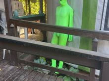 Local resident chillin' in Floyd