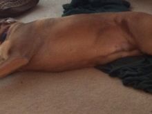 She makes them big enough the pile isn't hard to find.